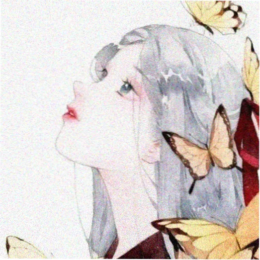 麻花影院观众头像